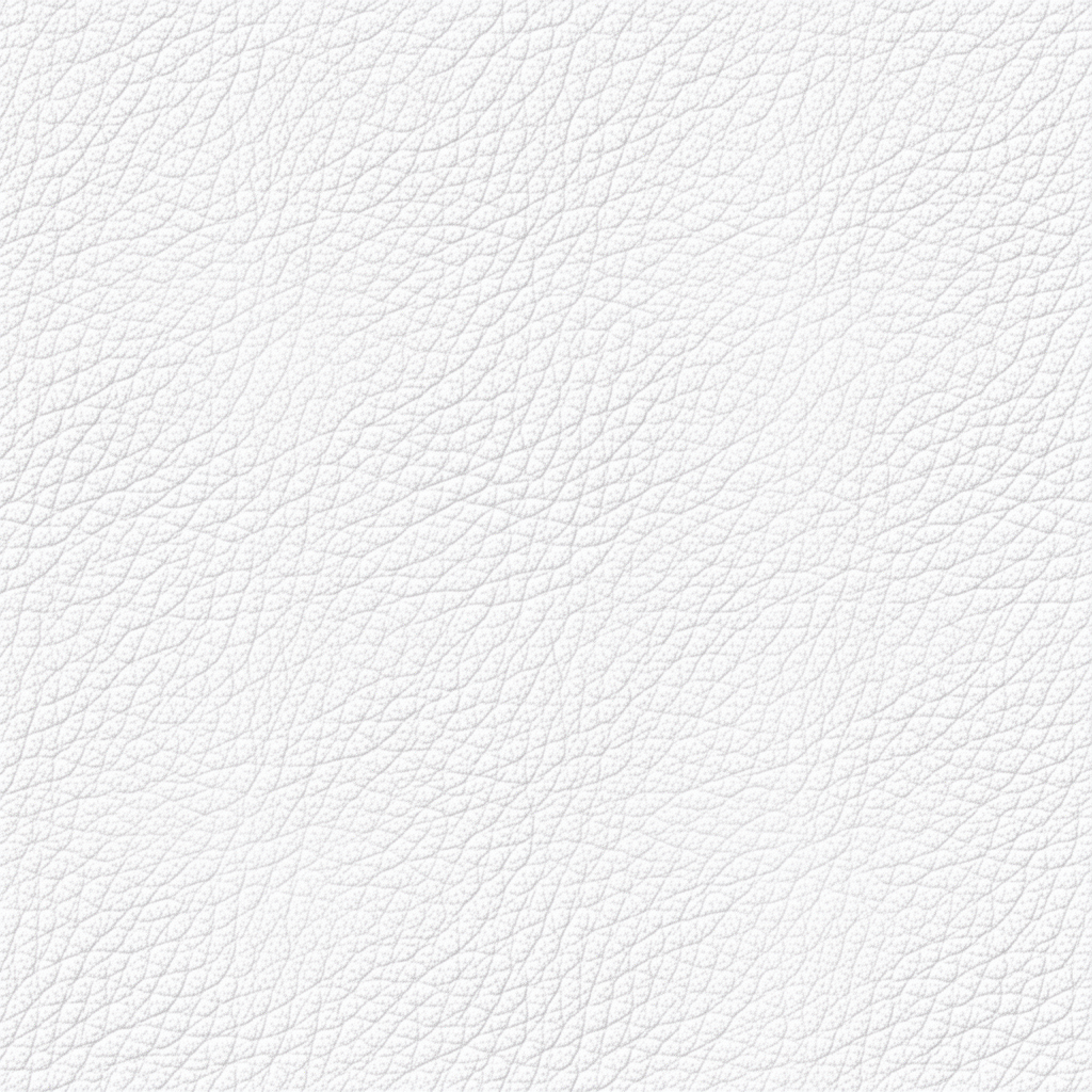 Seamless White Leather Grain Texture