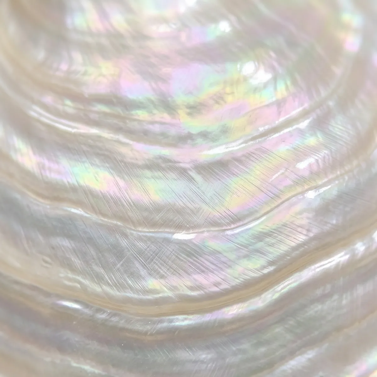 Laser cut and engrave Iridescent Mother Of Pearl Shell Texture