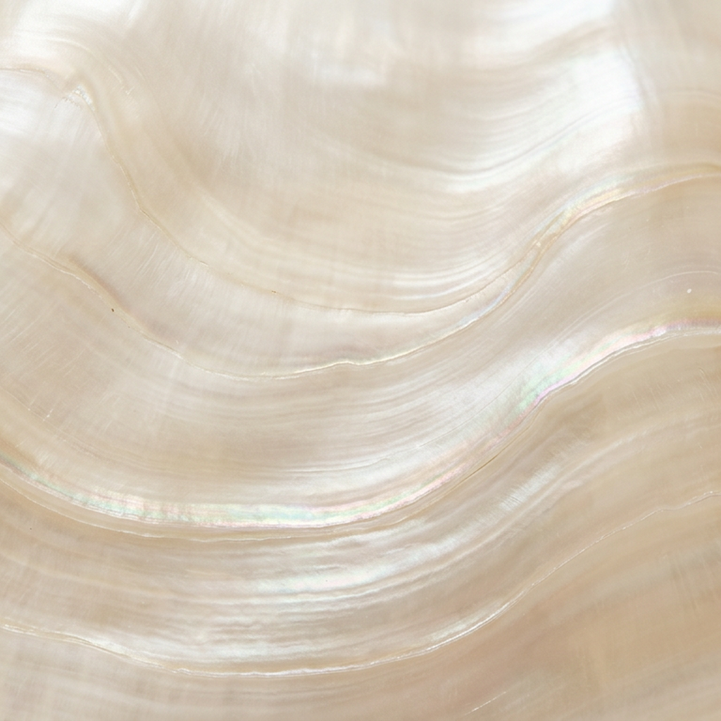 Iridescent Mother Of Pearl Surface Texture