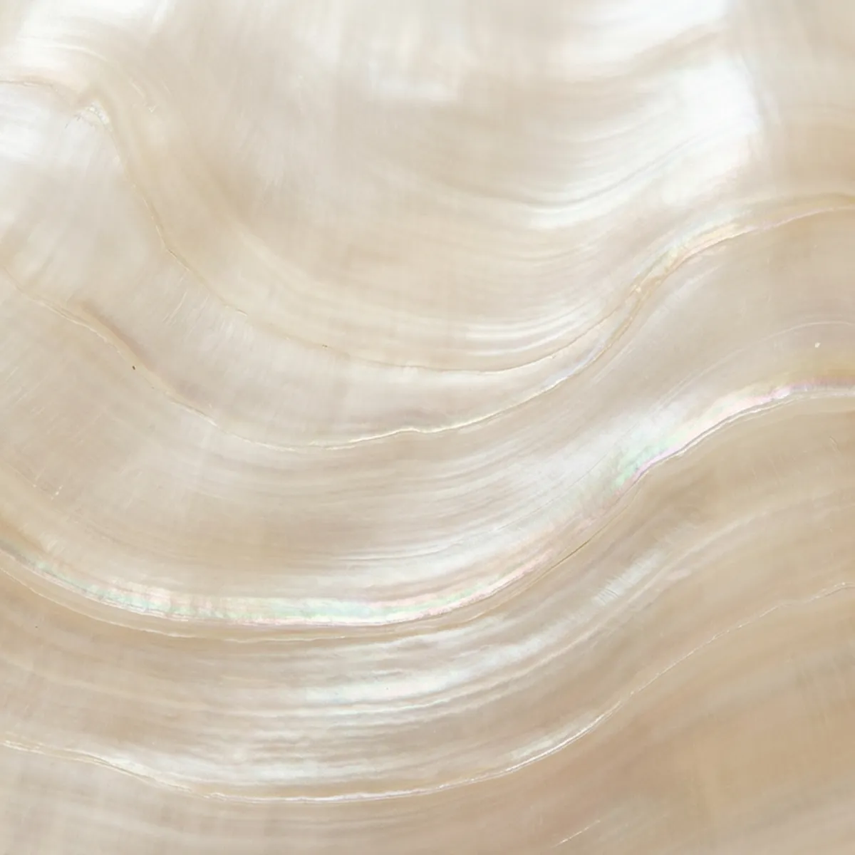 Laser cut and engrave Iridescent Mother Of Pearl Surface Texture