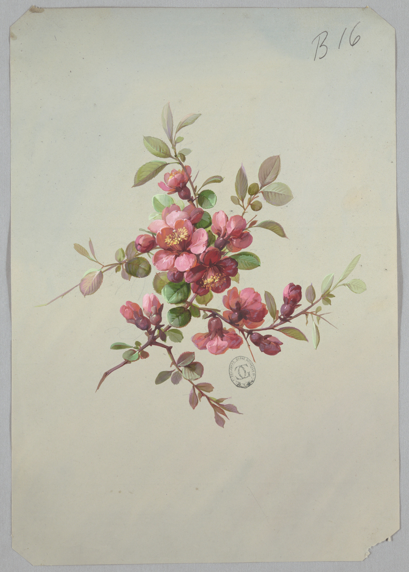 Unknown-Design_for_Wallpaper_and_Textiles_Flowers-chndm_1968-107-15