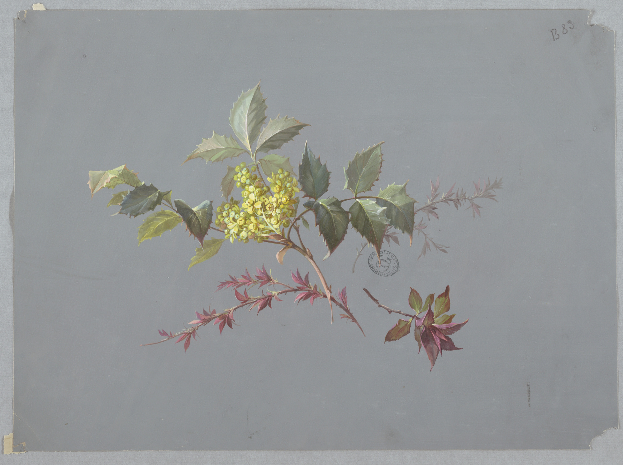 Unknown-Design_for_Wallpaper_and_Textiles_Flowers-chndm_1968-107-82