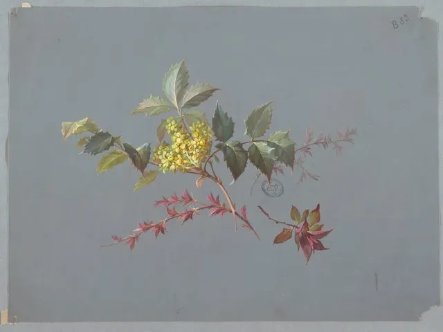 Unknown-Design_for_Wallpaper_and_Textiles_Flowers-chndm_1968-107-82