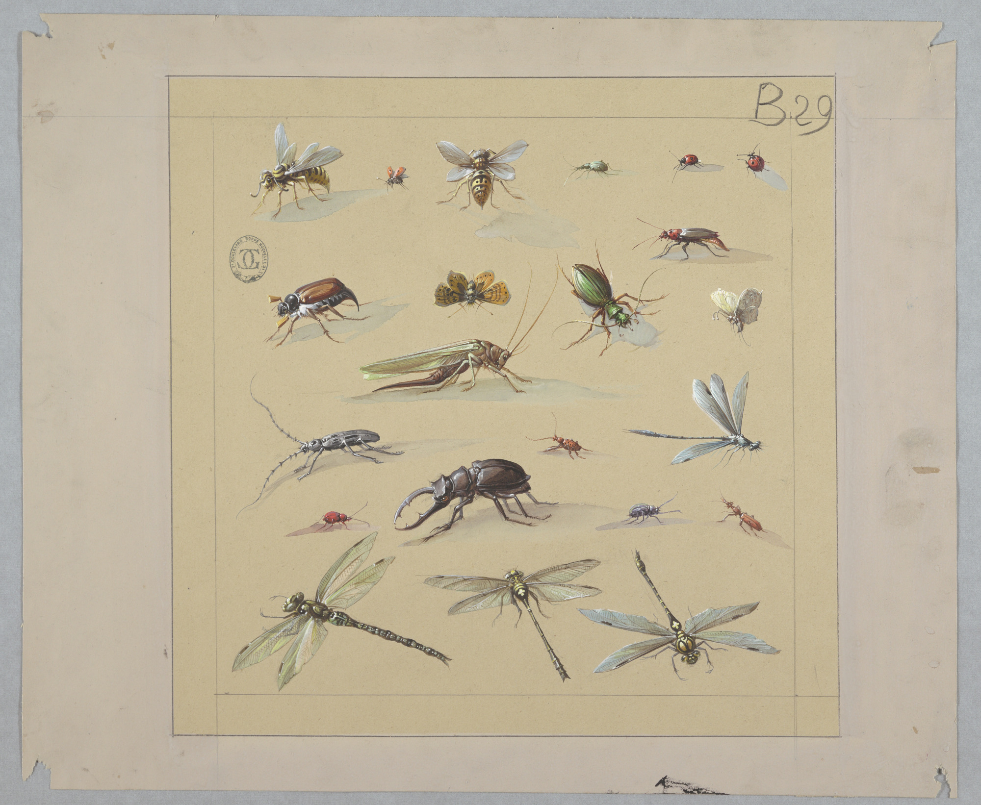 Laser cut and engrave Unknown-Designs_for_Wallpaper_and_Textiles_Insects-chndm_1968-107-28