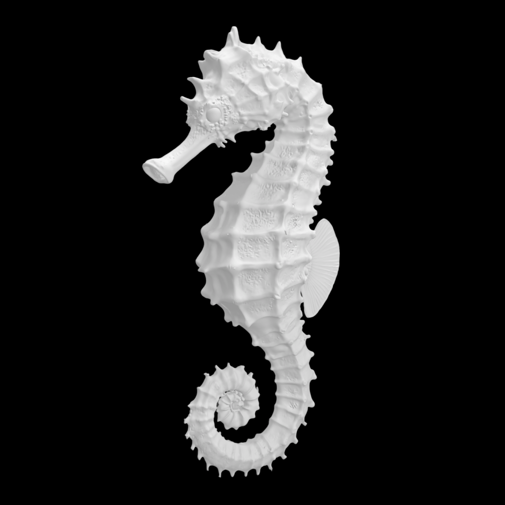 seahorse