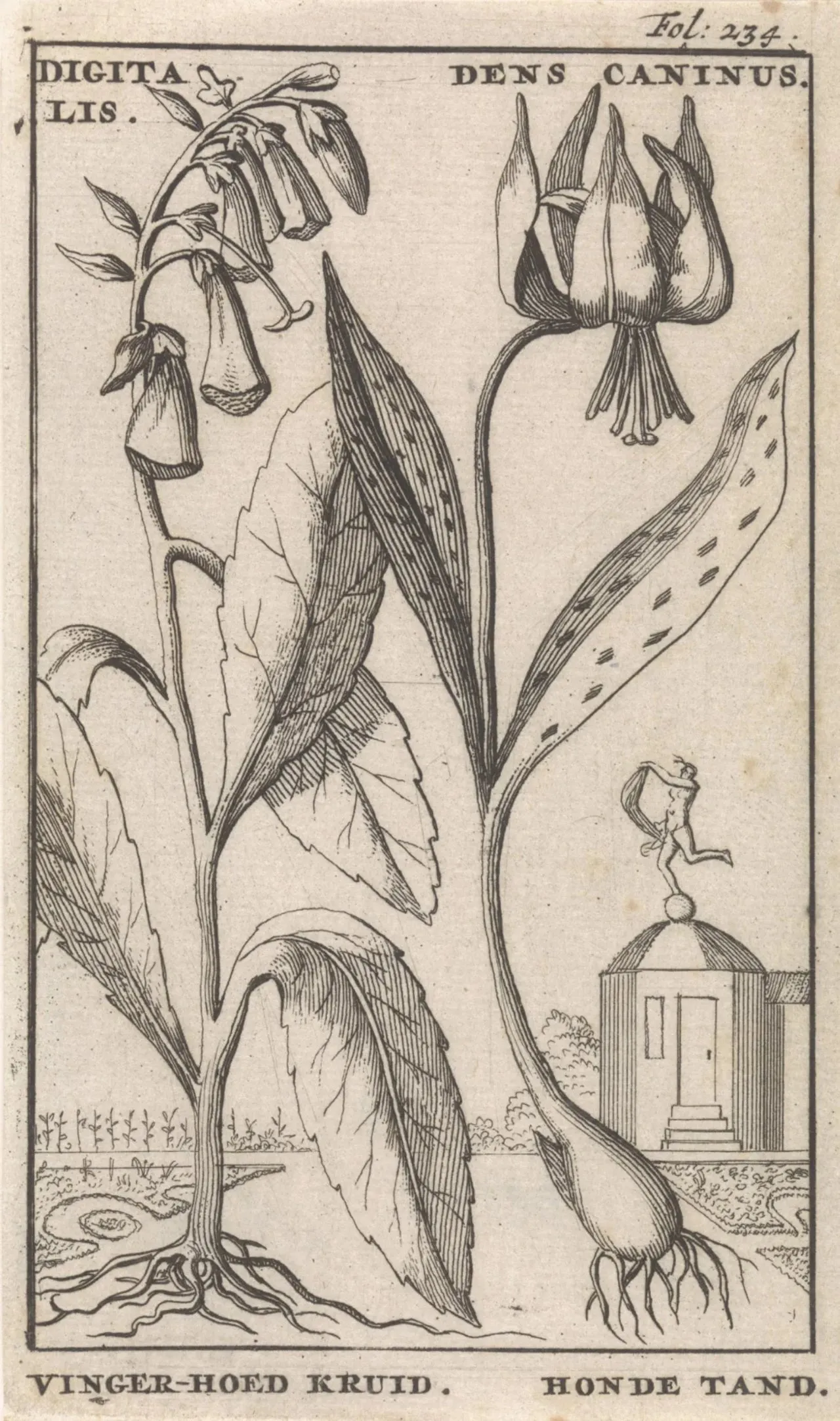 Laser cut and engrave Jan_Claesz_ten_Hoorn-Titelpagina_en_acht_prenten_met_bloemen-RP-P-1896-A-19368-1156