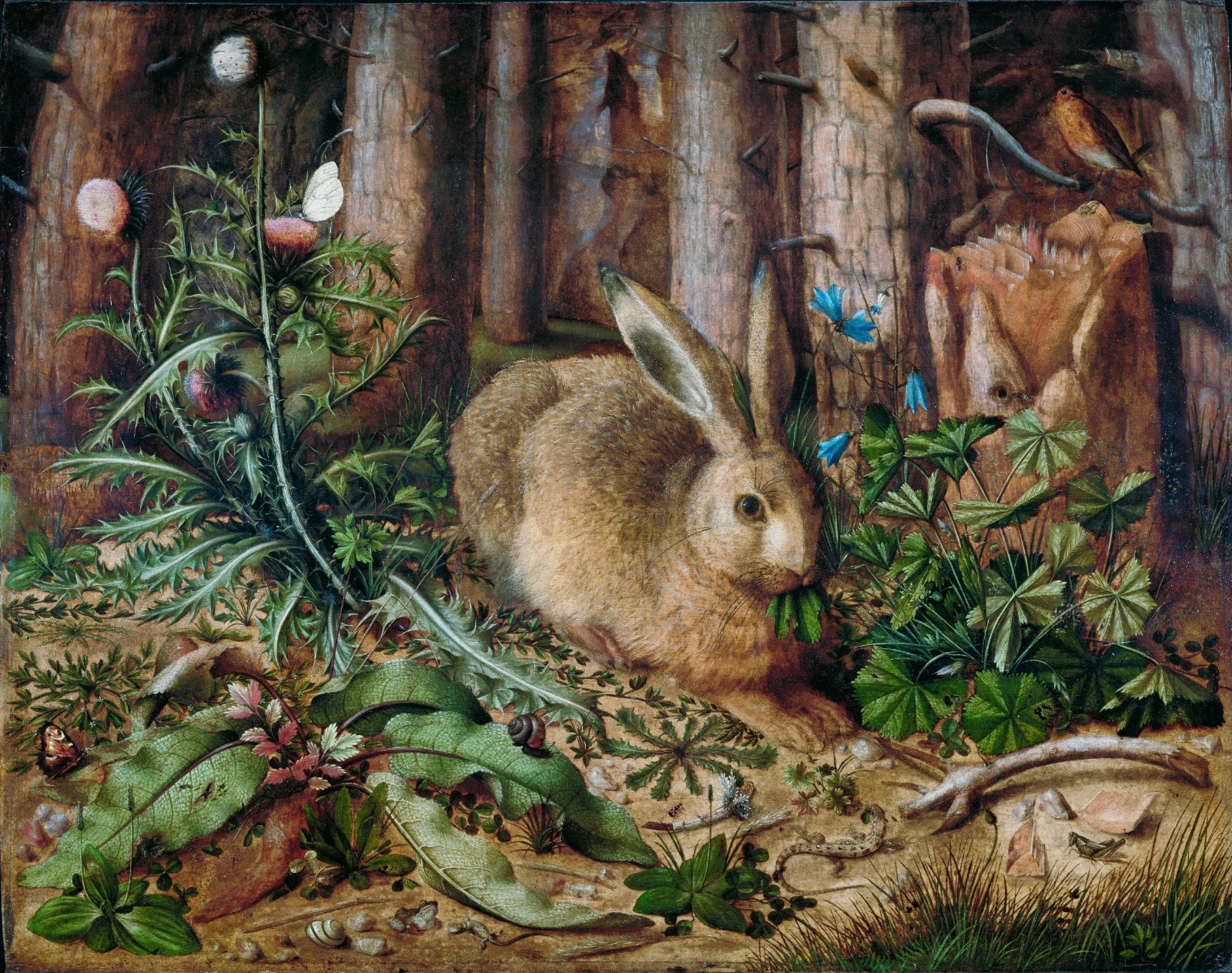 A Hare in the Forest (1585)