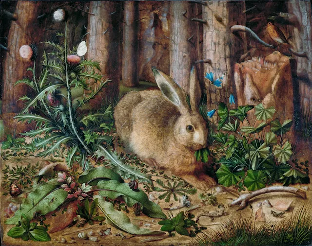 A Hare in the Forest (1585)