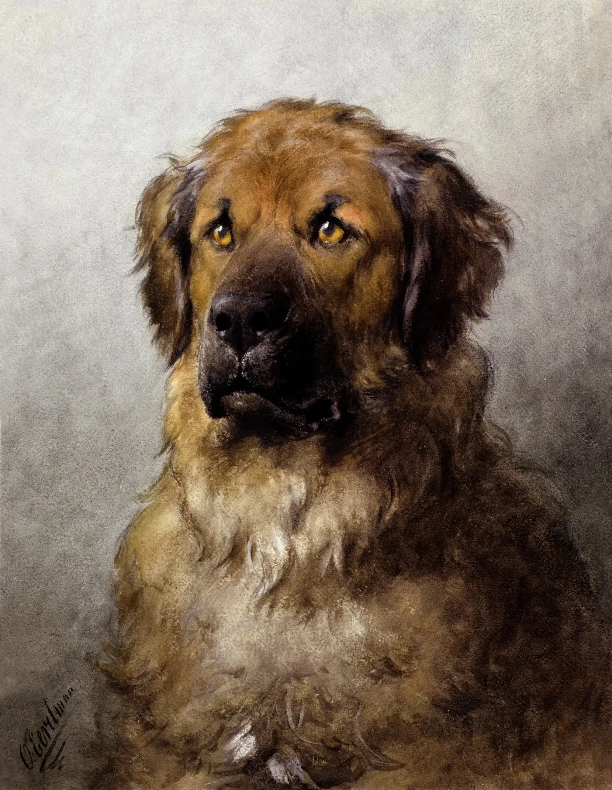 Laser cut and engrave Head of a Leonberger (c.1880–c.1892)