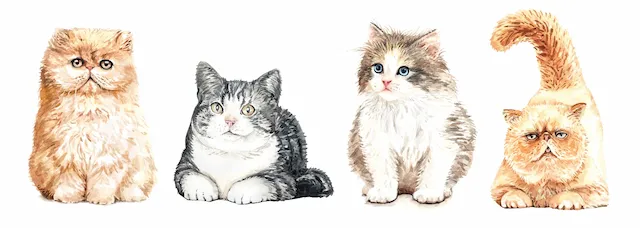 Collection Of Four Watercolor Sitting Cats