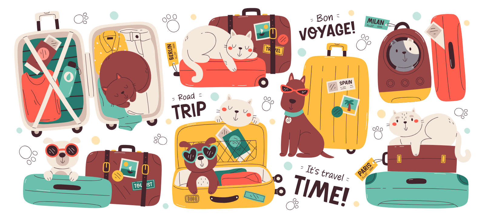 Travel Luggage With Cats And Dogs