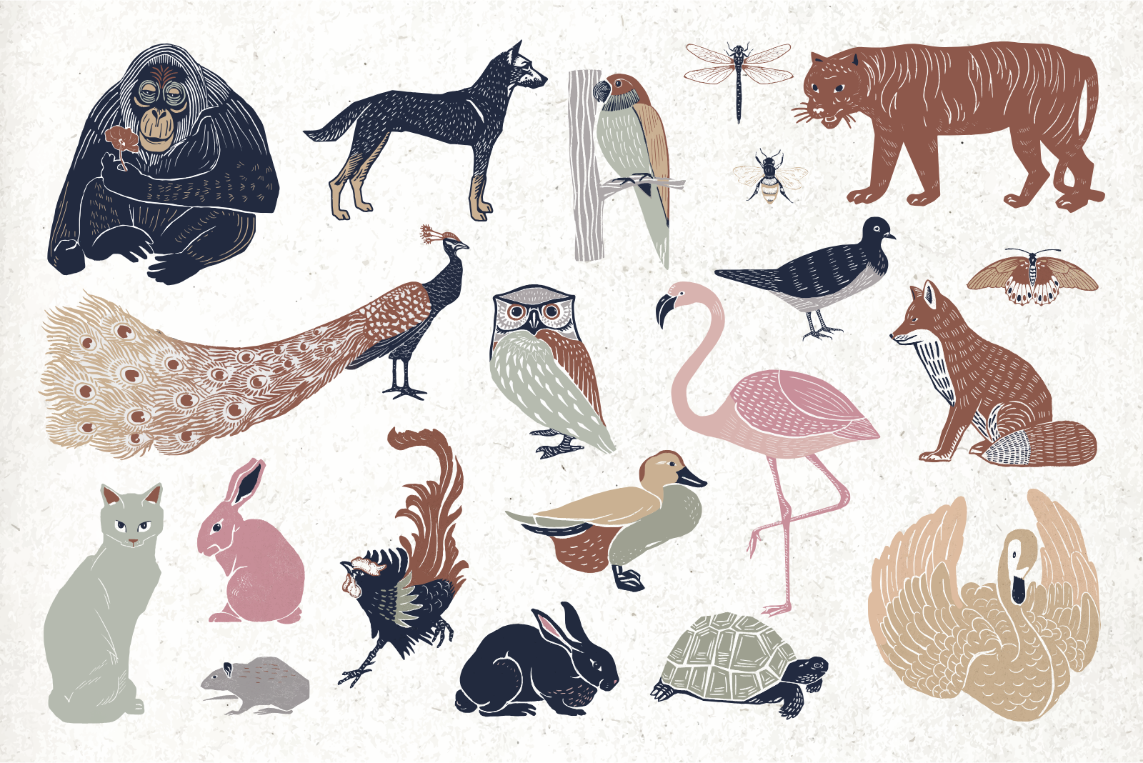 Collection Of Illustrated Forest And Farm Animals