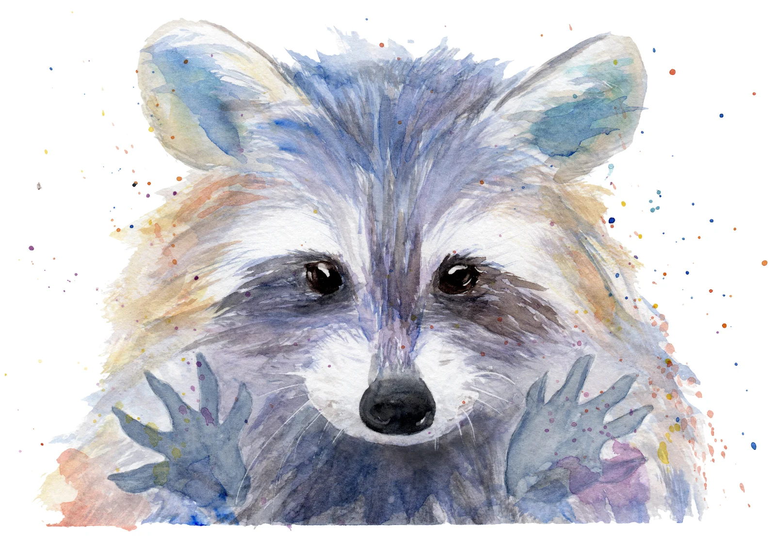 Watercolor Raccoon Portrait With Paws