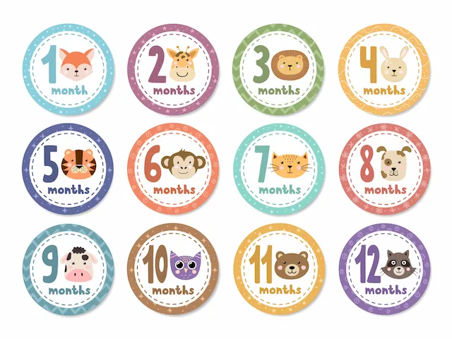 Baby Monthly Milestone Circle Sticker Set