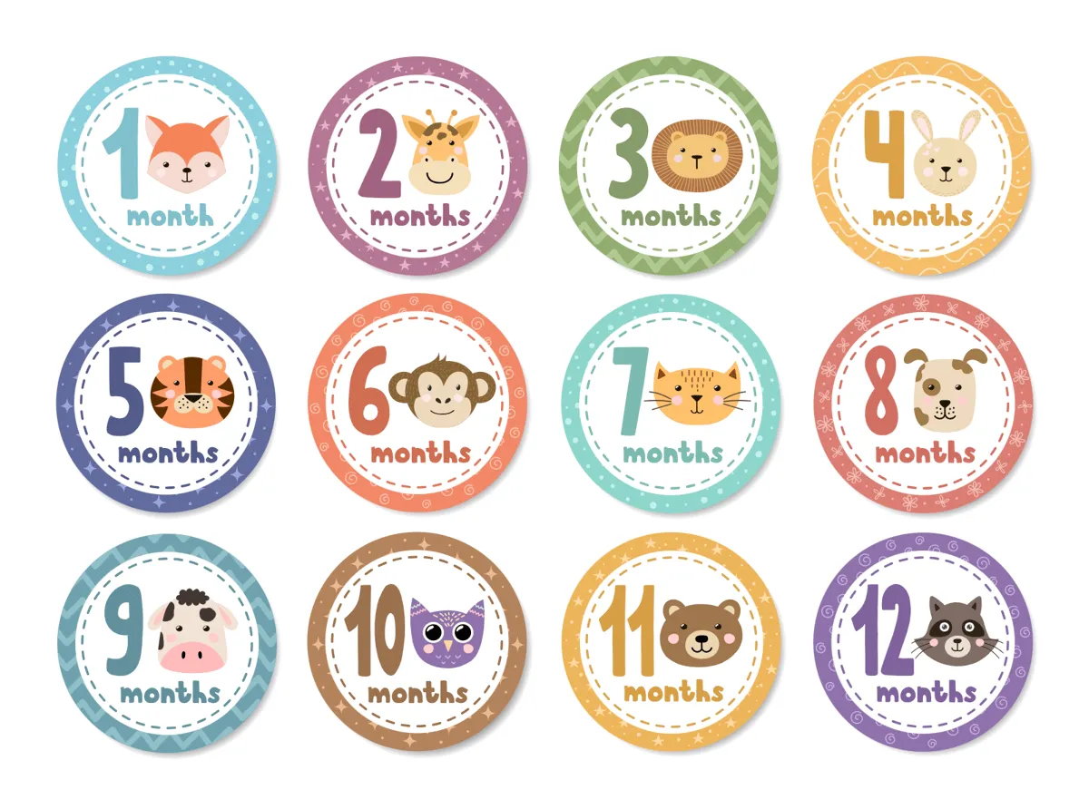 Laser cut and engrave Baby Monthly Milestone Circle Sticker Set