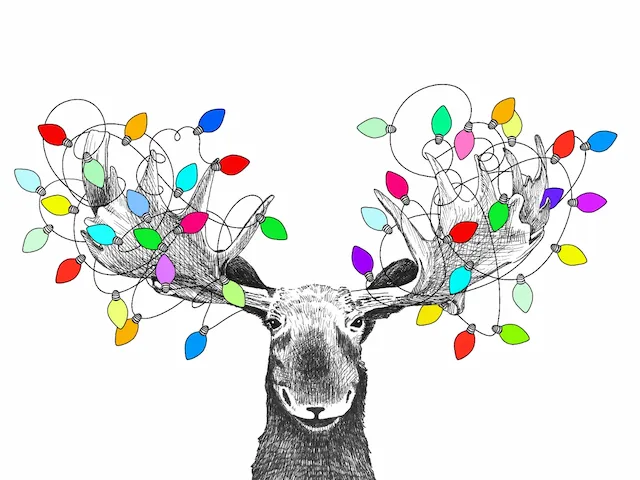 Moose With Christmas Lights In Antlers